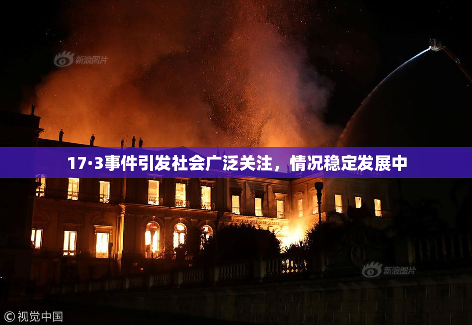 17·3事件引发社会广泛关注，情况稳定发展中