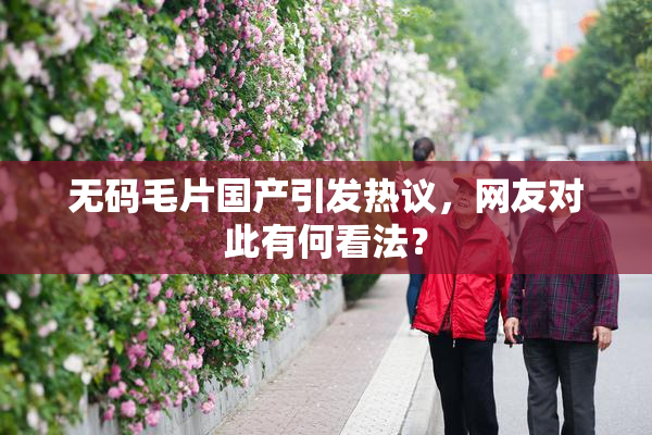 无码毛片国产引发热议，网友对此有何看法？