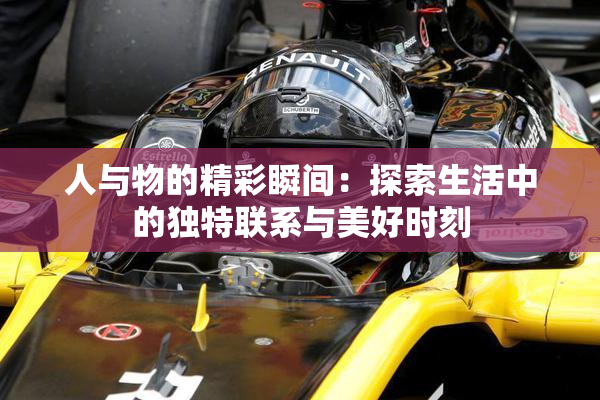 人与物的精彩瞬间：探索生活中的独特联系与美好时刻