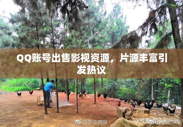 QQ账号出售影视资源，片源丰富引发热议