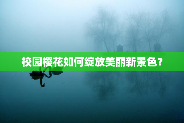 校园樱花如何绽放美丽新景色？