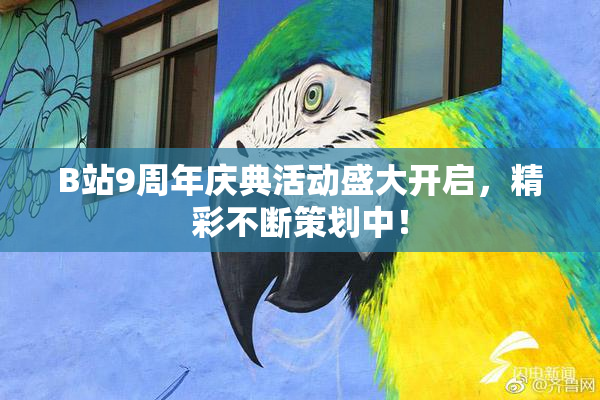 B站9周年庆典活动盛大开启，精彩不断策划中！