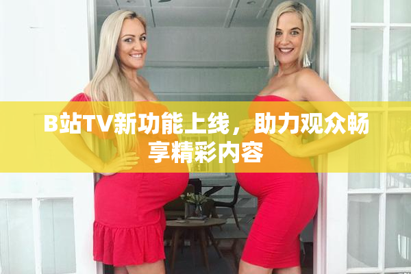 B站TV新功能上线，助力观众畅享精彩内容