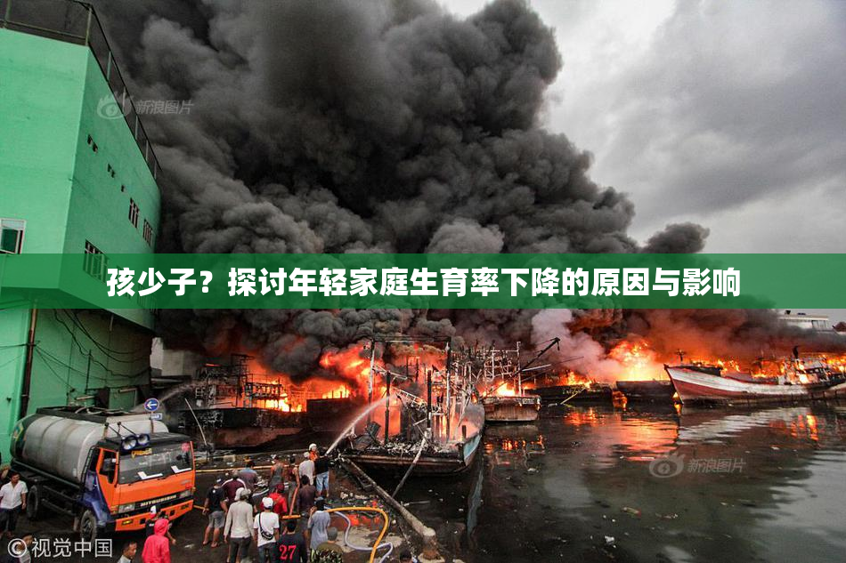 孩少子？探讨年轻家庭生育率下降的原因与影响