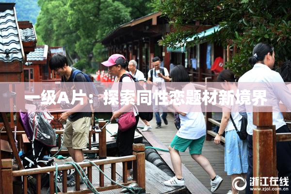 一级A片：探索同性恋题材新境界