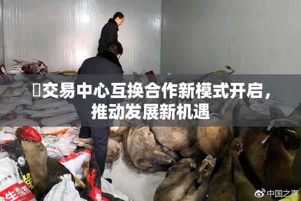 巜交易中心互换合作新模式开启，推动发展新机遇
