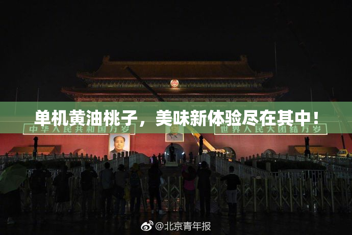 单机黄油桃子，美味新体验尽在其中！