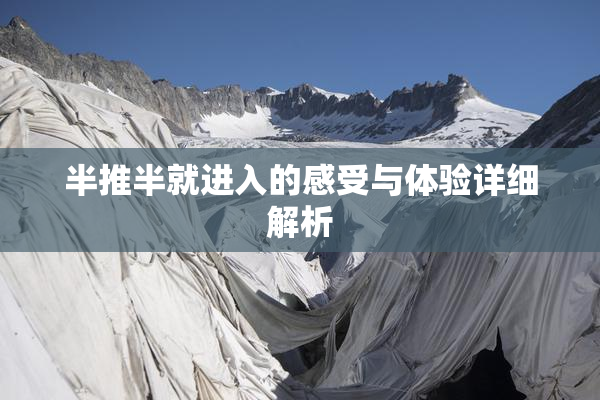 半推半就进入的感受与体验详细解析