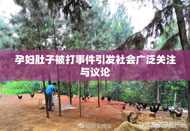 孕妇肚子被打事件引发社会广泛关注与议论