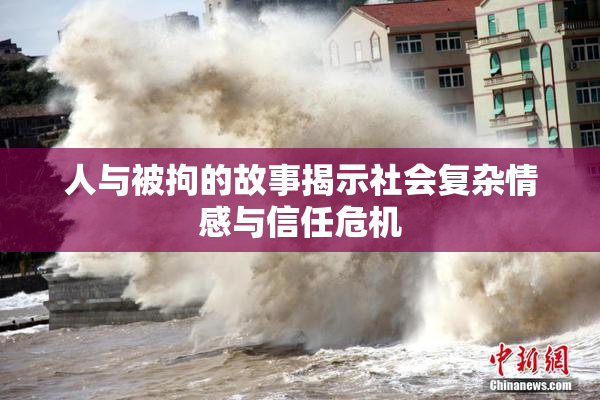 人与被拘的故事揭示社会复杂情感与信任危机