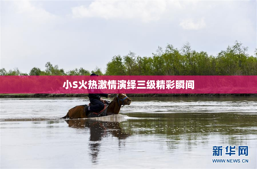 小S火热激情演绎三级精彩瞬间