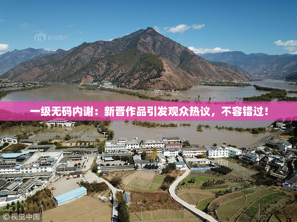 一级无码内谢：新晋作品引发观众热议，不容错过！