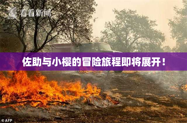 佐助与小樱的冒险旅程即将展开！