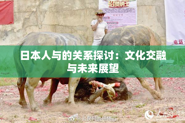 日本人与的关系探讨：文化交融与未来展望