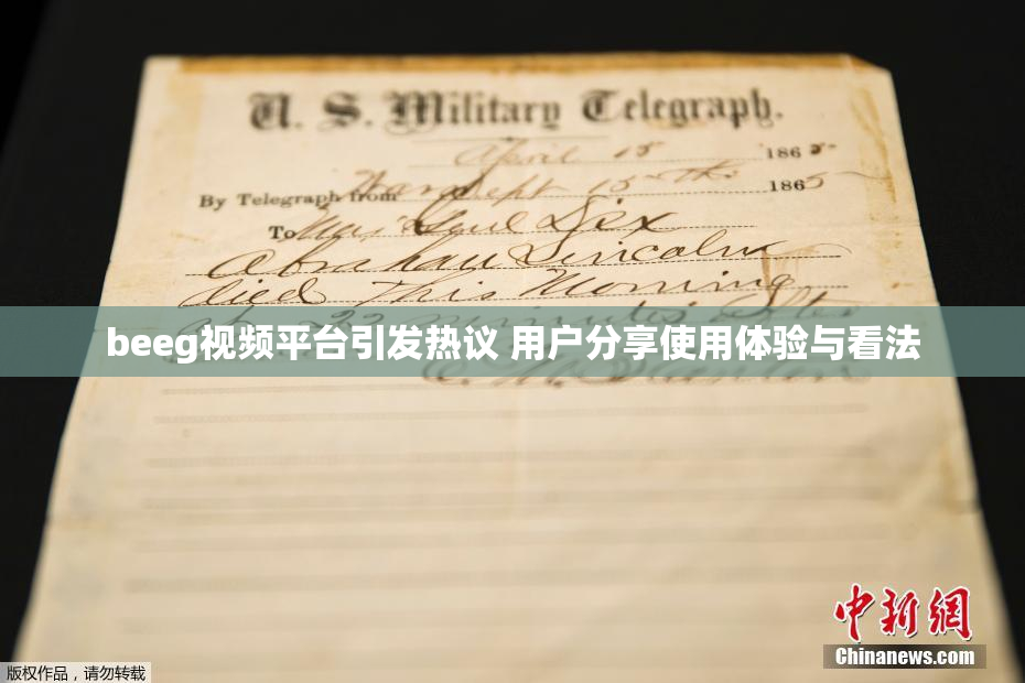 beeg视频平台引发热议 用户分享使用体验与看法