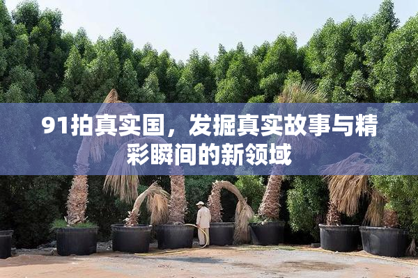 91拍真实国，发掘真实故事与精彩瞬间的新领域
