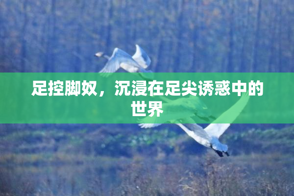 足控脚奴，沉浸在足尖诱惑中的世界