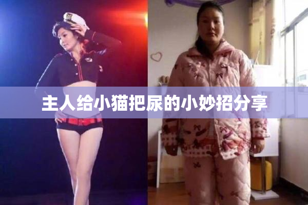 主人给小猫把尿的小妙招分享