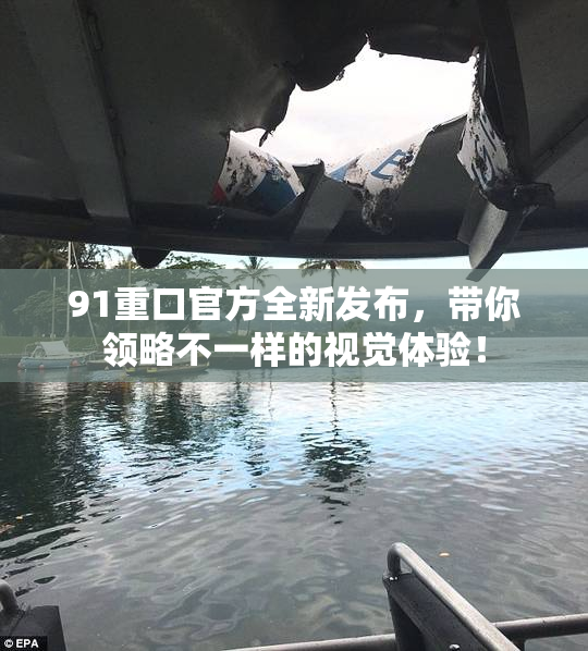 91重口官方全新发布，带你领略不一样的视觉体验！