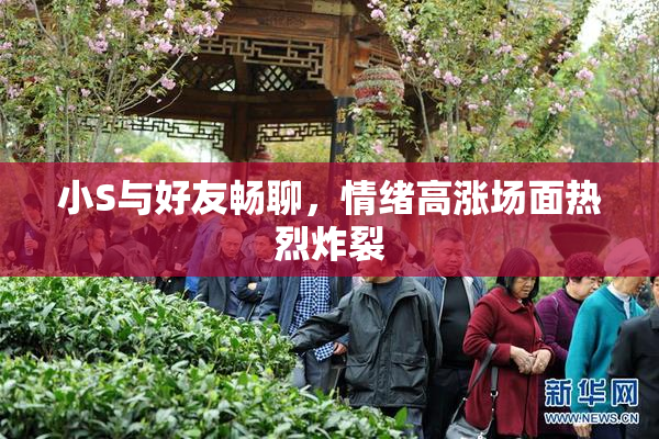 小S与好友畅聊，情绪高涨场面热烈炸裂