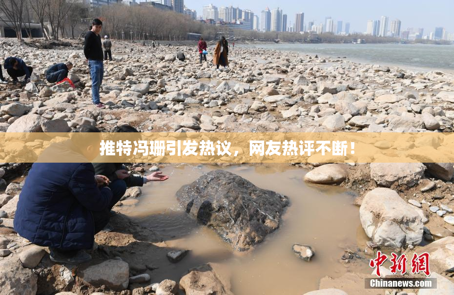 推特冯珊引发热议，网友热评不断！