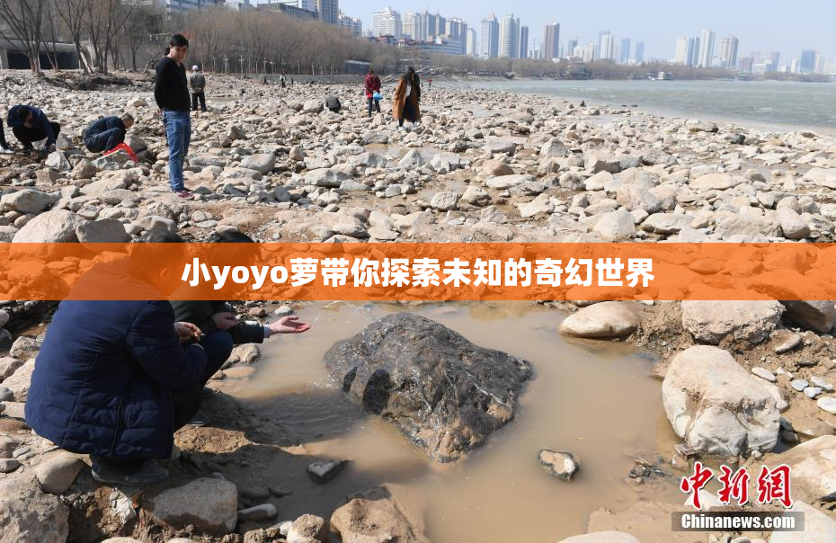 小yoyo萝带你探索未知的奇幻世界