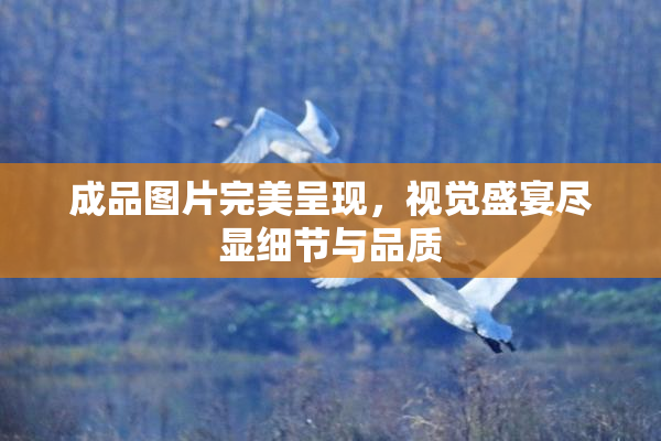 成品图片完美呈现，视觉盛宴尽显细节与品质