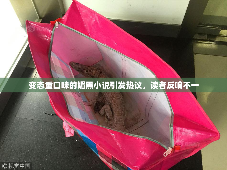 变态重口味的媚黑小说引发热议，读者反响不一
