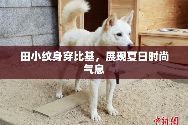 田小纹身穿比基，展现夏日时尚气息