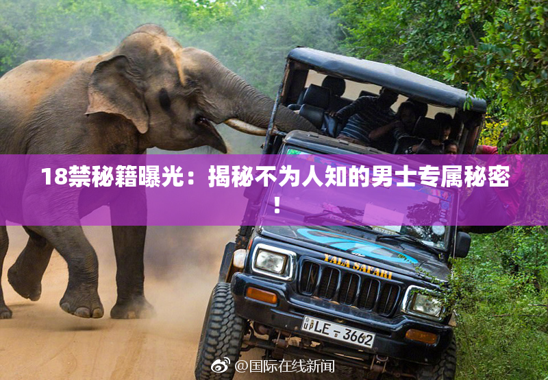 18禁秘籍曝光：揭秘不为人知的男士专属秘密！