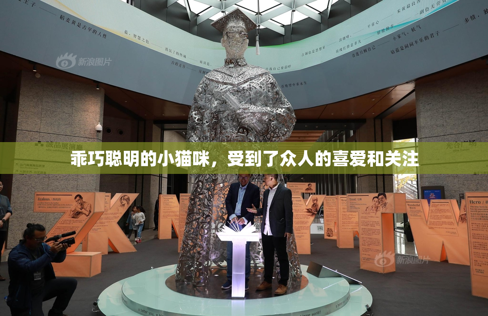 乖巧聪明的小猫咪，受到了众人的喜爱和关注