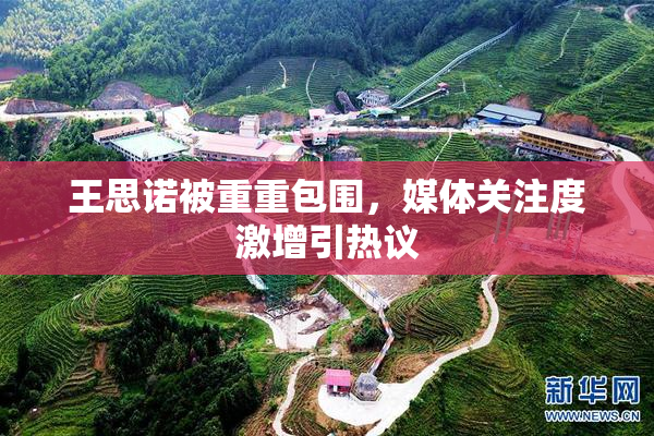 王思诺被重重包围，媒体关注度激增引热议