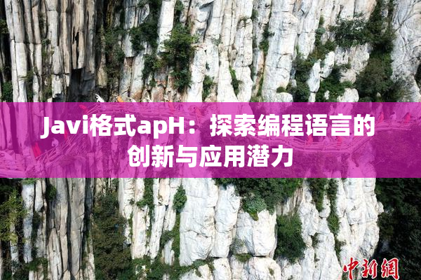 Javi格式apH：探索编程语言的创新与应用潜力