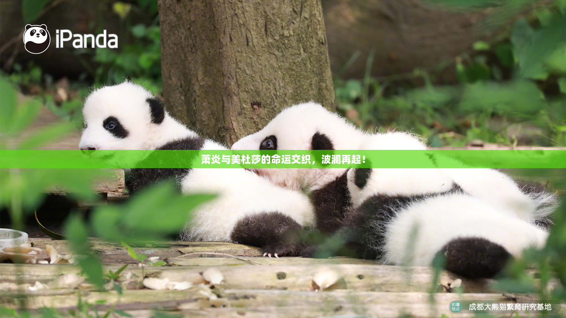 萧炎与美杜莎的命运交织，波澜再起！