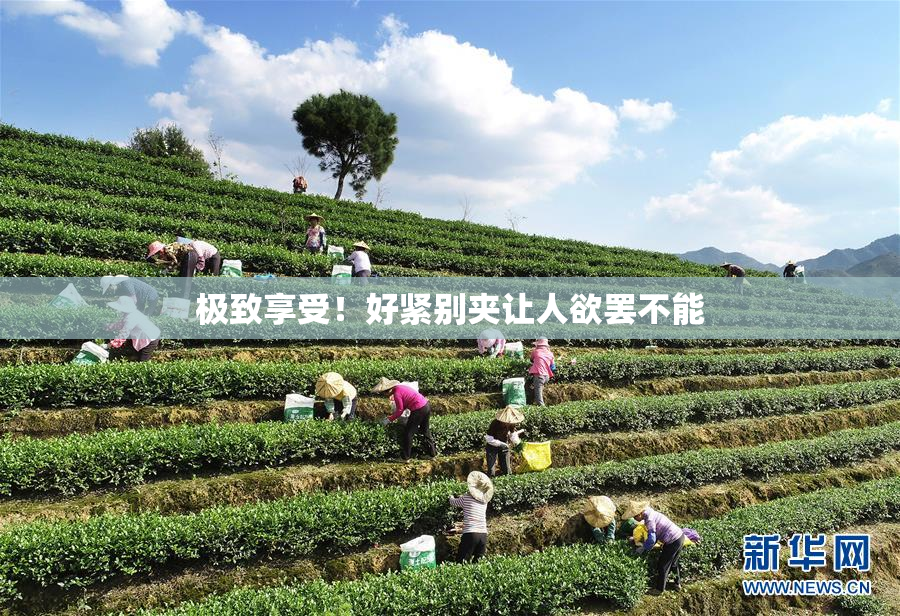 极致享受！好紧别夹让人欲罢不能