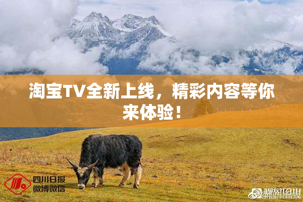 淘宝TV全新上线，精彩内容等你来体验！