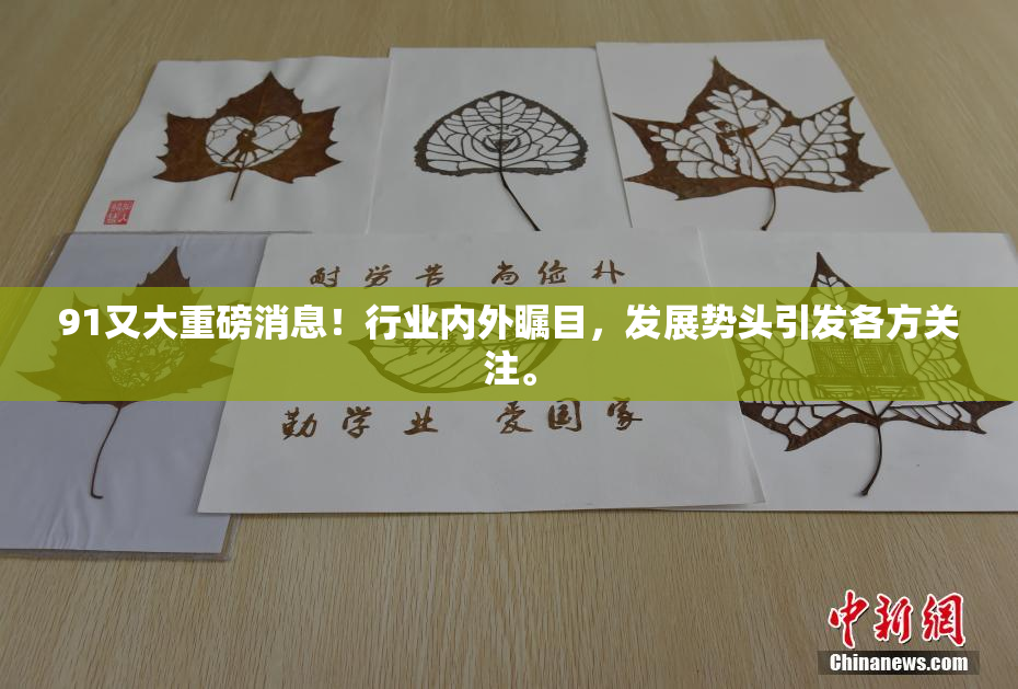 91又大重磅消息！行业内外瞩目，发展势头引发各方关注。
