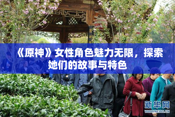 《原神》女性角色魅力无限，探索她们的故事与特色