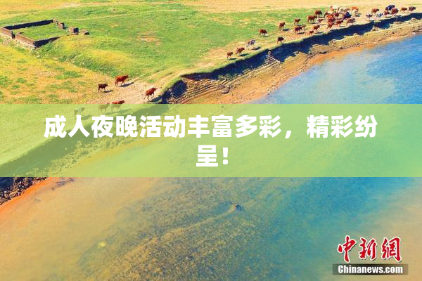 成人夜晚活动丰富多彩，精彩纷呈！
