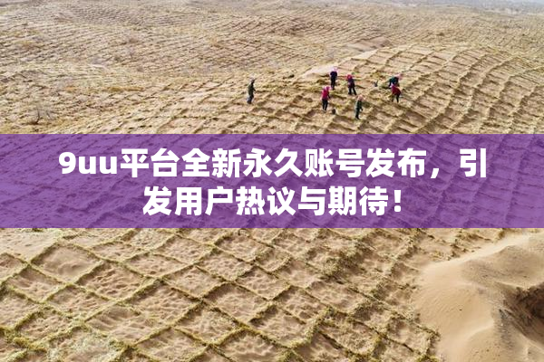 9uu平台全新永久账号发布，引发用户热议与期待！