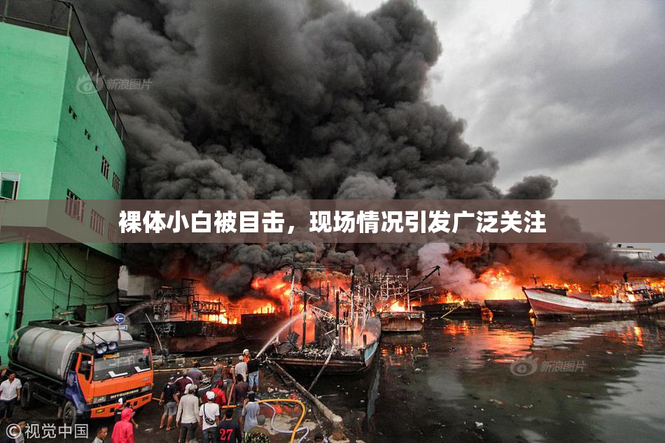 裸体小白被目击，现场情况引发广泛关注