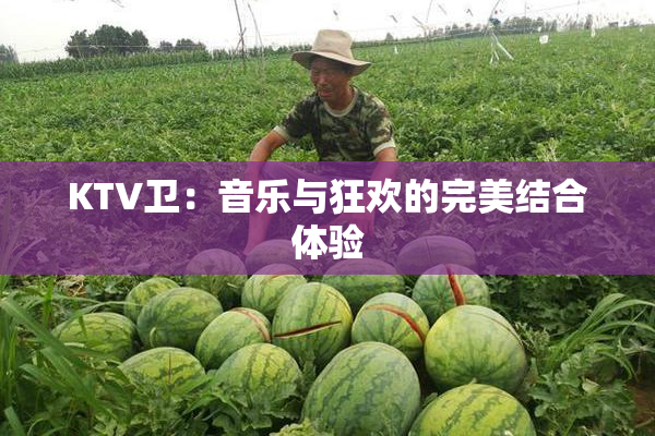 KTV卫：音乐与狂欢的完美结合体验