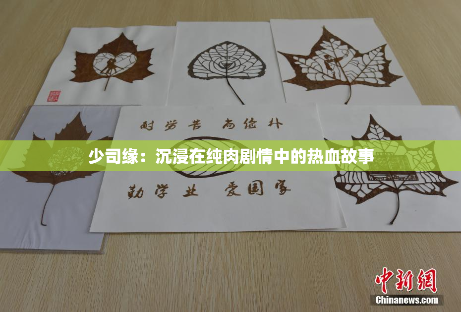 少司缘：沉浸在纯肉剧情中的热血故事