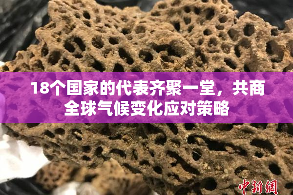 18个国家的代表齐聚一堂，共商全球气候变化应对策略