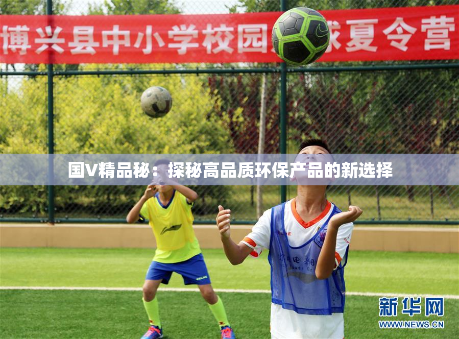 国V精品秘：探秘高品质环保产品的新选择