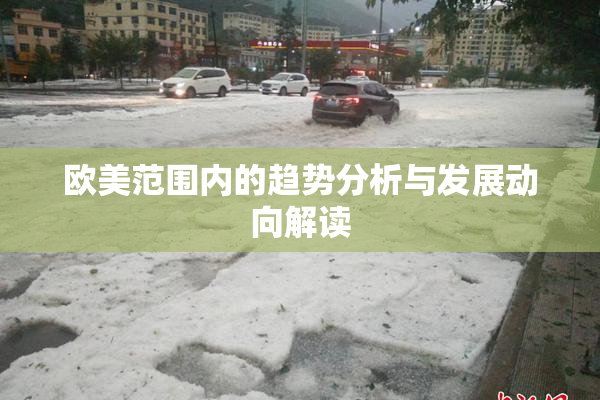 欧美范围内的趋势分析与发展动向解读