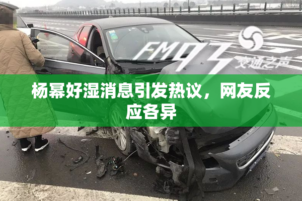 杨幂好湿消息引发热议，网友反应各异