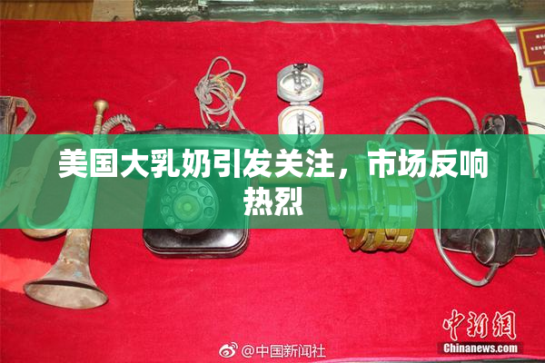 美国大乳奶引发关注，市场反响热烈