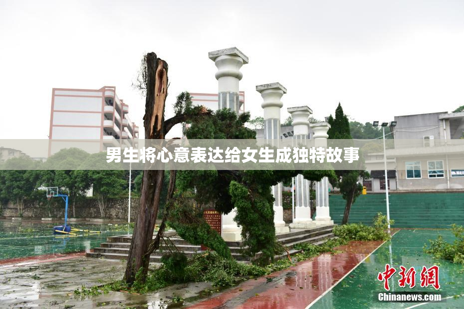 男生将心意表达给女生成独特故事