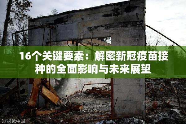 16个关键要素：解密新冠疫苗接种的全面影响与未来展望